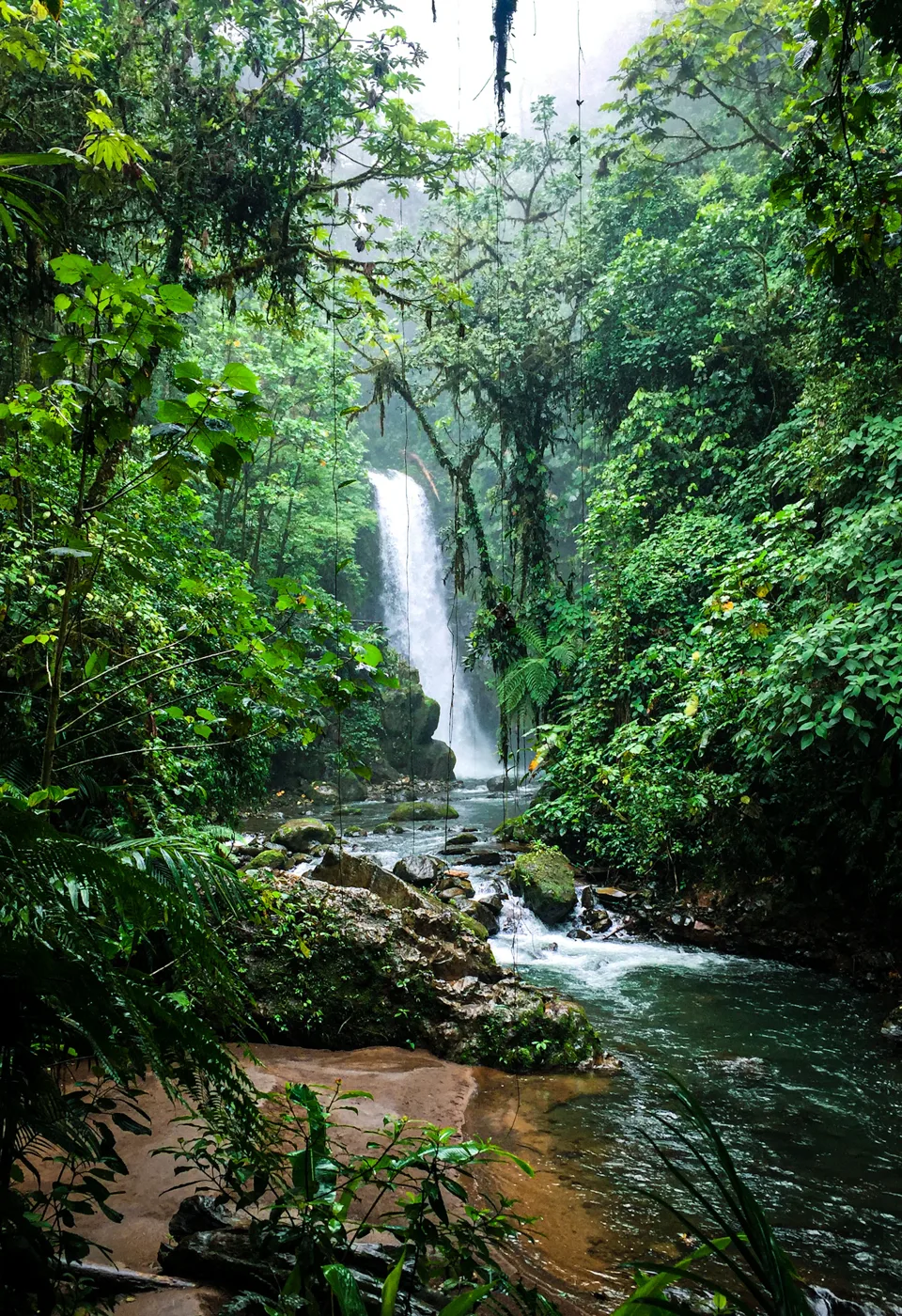 Gambar ilustrasi air terjun di tengah hutan tropika, bukan foto taman yang disenaraikan